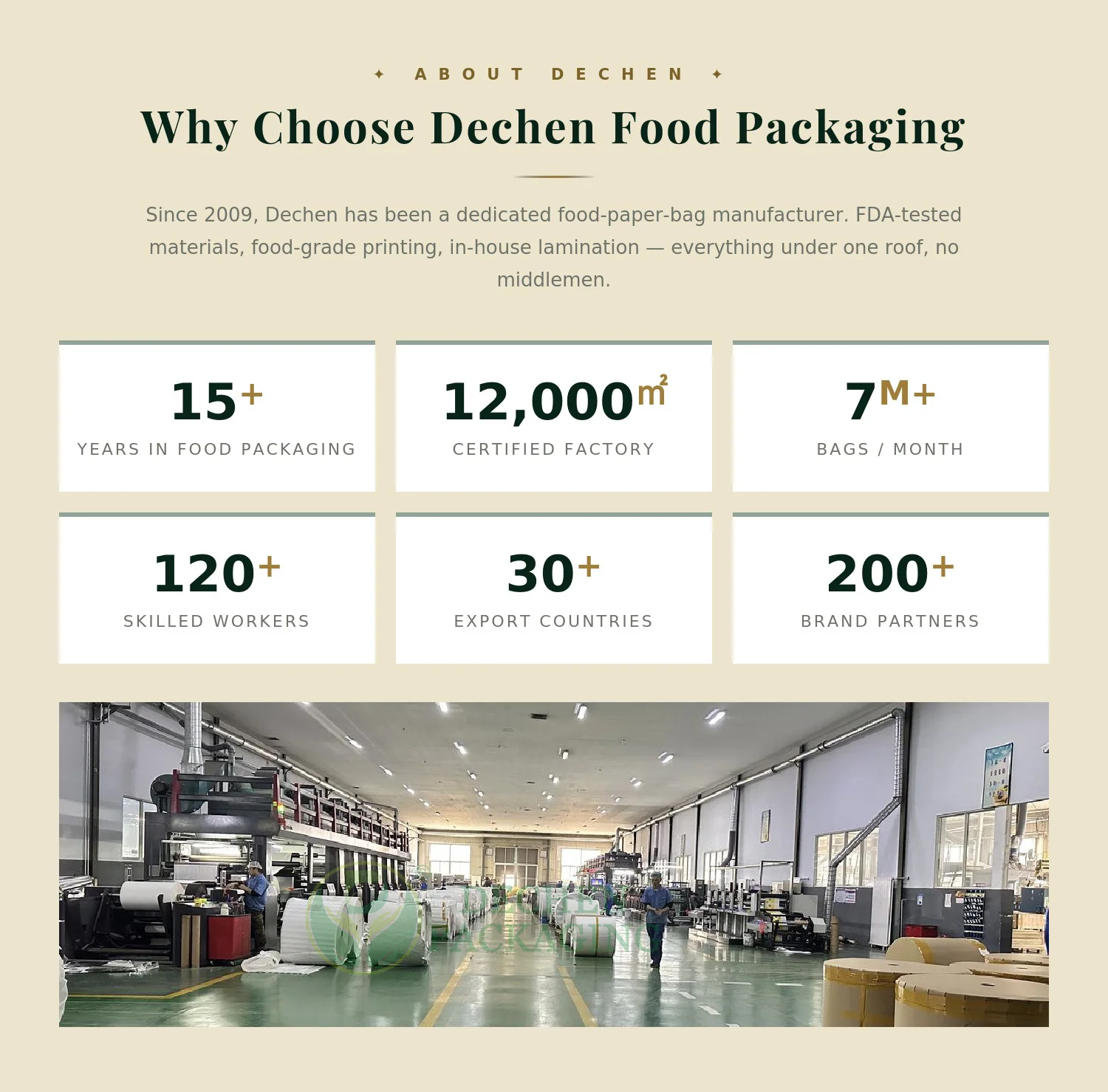 About us-DECHEN PACK Food Fruit Packaging Manufacturer